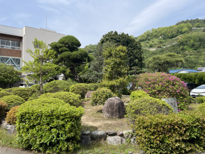 IMG_4386[1]